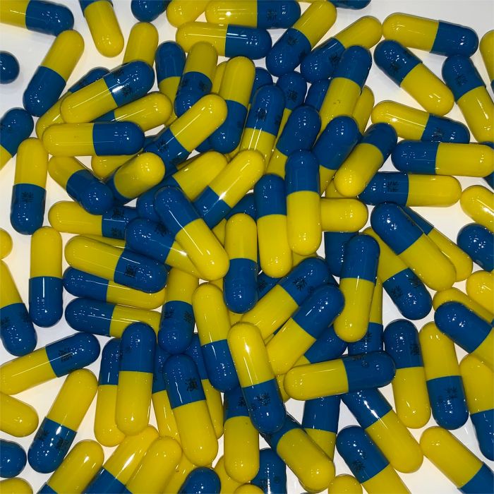 Capsules de pilules vides 000