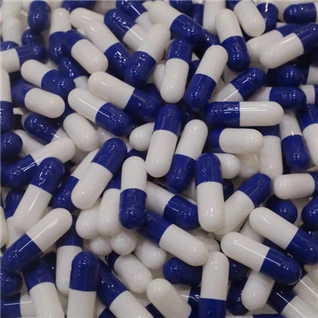 Capsules végétariennes vides Taille 000